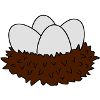 nest