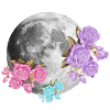 Moon Flowers Aesthetic