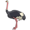 Nandu struts emu fugl tegneserie gave ide