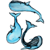 Baleine
