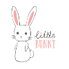 Conception de lapin