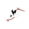 cigogne