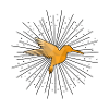 Hummingbird nectar bird animals gift
