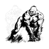 Gorilla BlancoyBlack