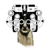 Alpaca&Phoropter