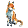 Fuchs