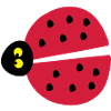 ladybug insects