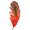 feather