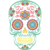 Skull-Mexico