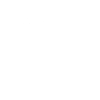 Vizsla Evolution
