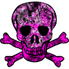 Skull skull and crossbones