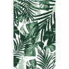 Feuilles tropicales