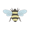 bee
