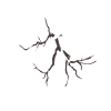Lightning with Lightning Bolt graphics
