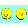 lemon piercing turquoise