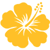 hibiscus tahiti