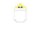 Pocket chick PocketMonster