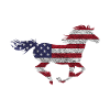 American horse