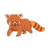 red panda