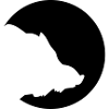 Boar Moon