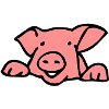 pig pig head 28053