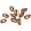 coffee beans
