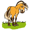 Cheval fjord souriant