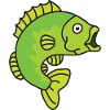 Perch fish