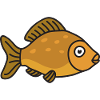 Carp fish fishing