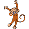 Monkey chimpanzee