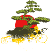 bonsai