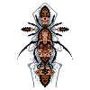 TECHNO INSECTE
