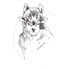 sheep and wolf