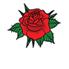 Rose Tee Shirt