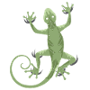 3D Gecko