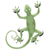 Gecko 3D