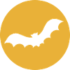 Bat Bat