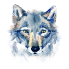 Art Wolf