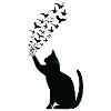 Black cat