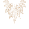 Feathers leaves talisman dream catcher