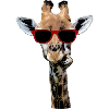 Giraffen Tier Giraffe witzig Hals Geschenk