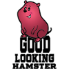 Good looking Hamster