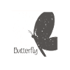 Butterfly butterfly