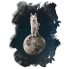 Mystical Wolf