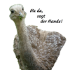 Nandu