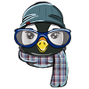 Hipster penguin