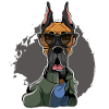 Great Dane - Great Dane