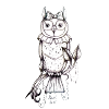 owl