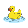 rubber duck