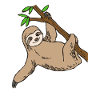 sloth